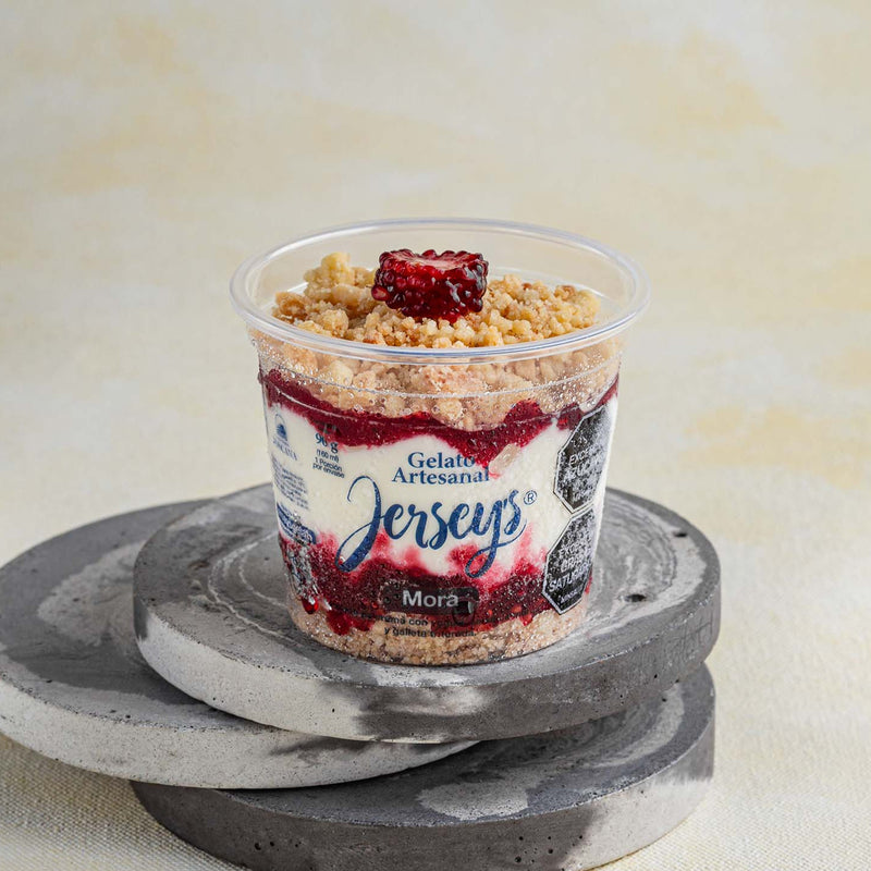 Yogurt y Mora con Galleta